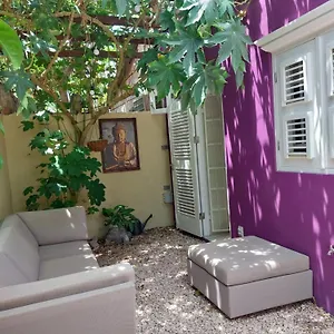 Purple House In Colorful Centre Vakantiehuis